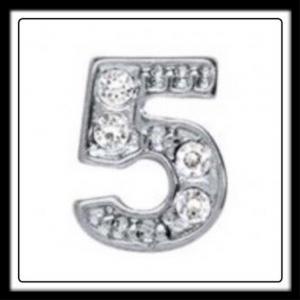 Five (Silver) w/Crystals Charm