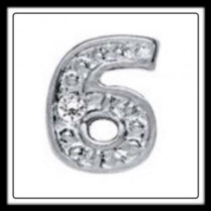 Six (Silver) w/Crystals Charm