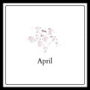 ​April Birthstone (White Zircon) Crystals