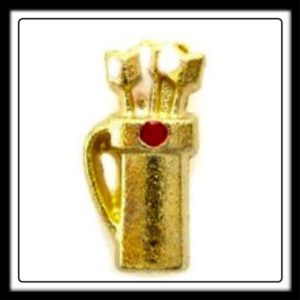 Arrow Quills (Gold) Charm
