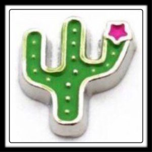 Cactus w/(Pink) Star Charm