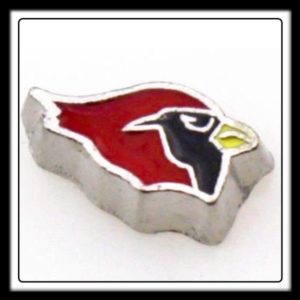Cardinals (Football) Charm