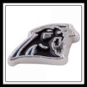Carolina Panthers (Football) Charm