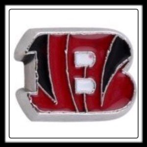 Cincinnati Bengels (Football) Charm