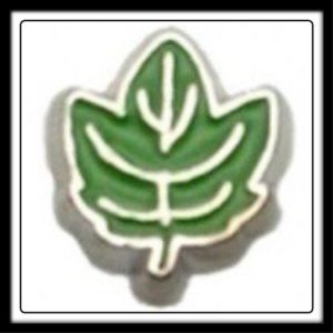 Leaf (Green) Charm