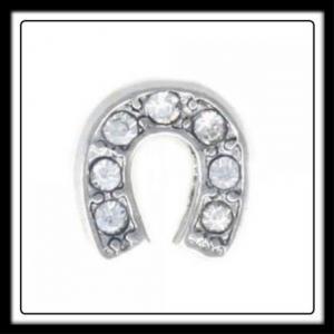 Horseshoe w/Crystals Charm
