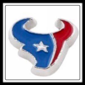 Houston Texans (Football) Charm