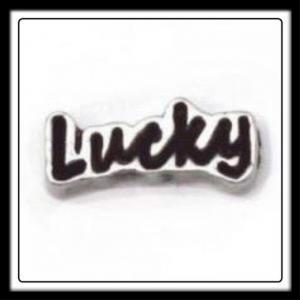 Lucky (Black/Silver) Charm