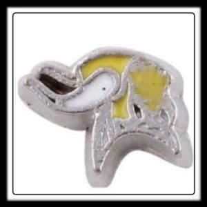 Minnesota Vikings (Football) Charm