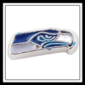 Seattle Seahawks (Football) Charm