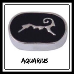Aquarius Constellation Charm​