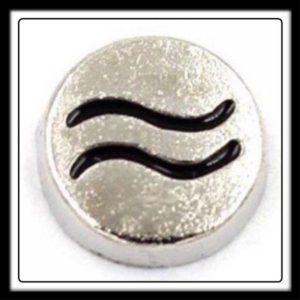 Aquarius (Circle) Charm