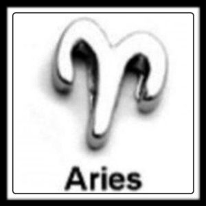 Aries Sign Charm