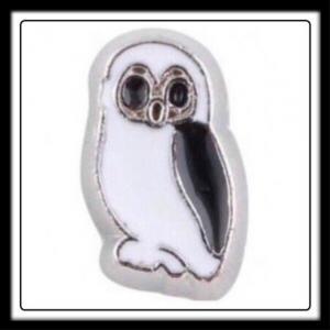 Owl (Black/White) Charm
