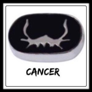 Cancer Constellation Charm​