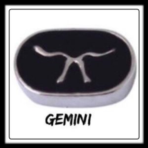 Gemini Constellation Charm​