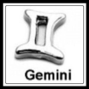 Gemini Sign Charm