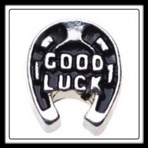 Good Luck Horseshoe Charm
