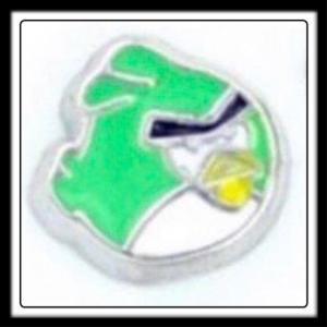 Angry Birds (Green) Charm