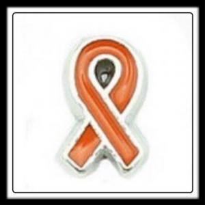 "Racial Tolerance/Cultural Diversity"(Orange) Awareness Ribbon Charm
