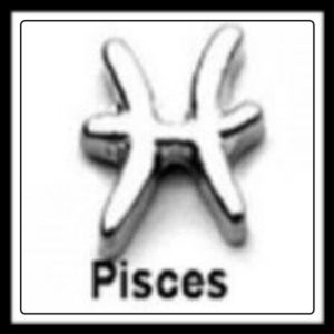 Pisces Sign Charm