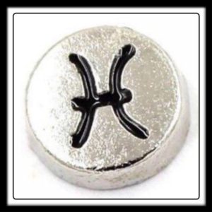 Pisces (Circle) Charm