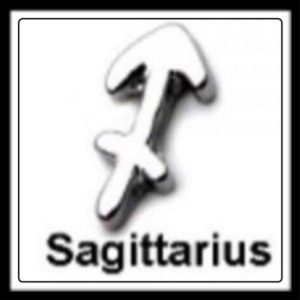 Sagittarius Sign Charm