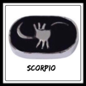 Scorpio Constellation Charm​