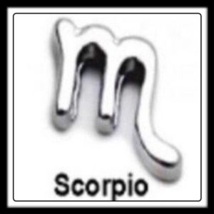 Scorpio Sign Charm