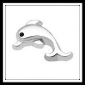 Dolphin (Silver) Charm