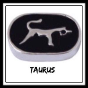 Taurus Constellation Charm​