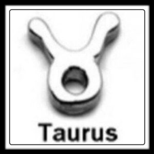 Taurus Sign Charm