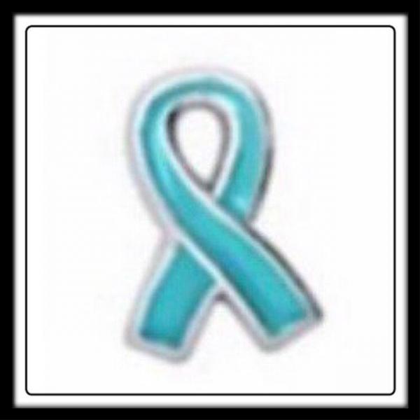 "Sexual Assault & Anti Bullying" (Teal) Awareness Ribbon Charm