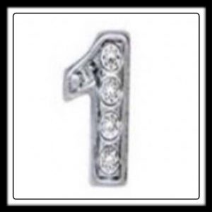 One (Silver) w/Crystals Charm