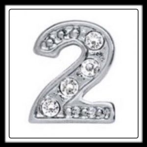 Two (Silver) w/Crystals Charm