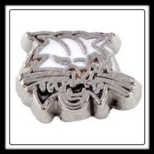 Arizona Wildcats (Football) Charm