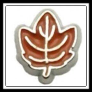 Leaf (Brown) Charm