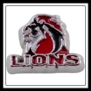 Lions (Rugby) Team Charm