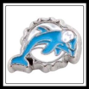 Miami Dolphins (Football) Charm