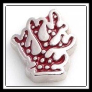 Coral (Red/Silver) Charm