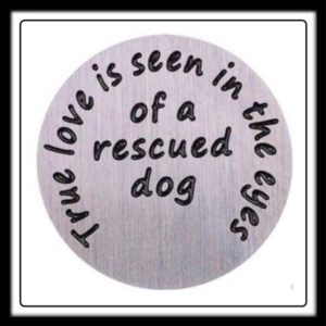 True Love is Seen in The Eyes of a Rescue Dog Locket Plate