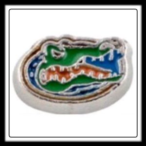 University of Florida Gators (Football) Charm