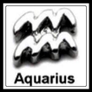 Aquarius Sign Charm