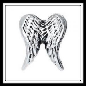 Wings Large (Silver) Charm