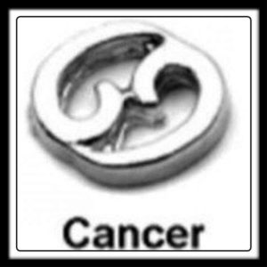 Cancer Sign Charm