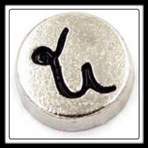 Capricorn (Circle) Charm