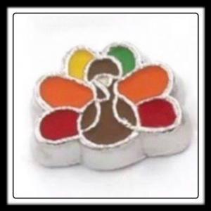 Turkey (Red/Orange/Yellow/Green) Charm