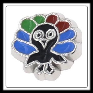 Turkey (Blue/Green/Red) Charm