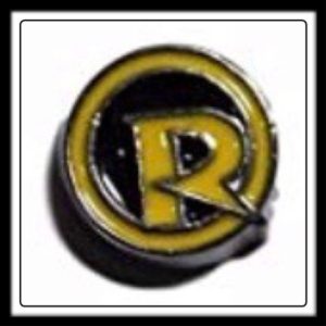 Robin Logo Charm