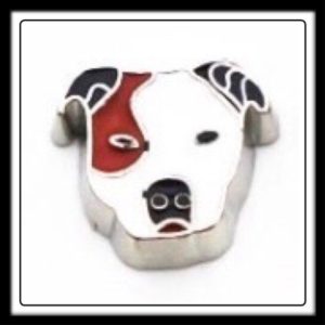 Dog (Pitbull 2) Charm